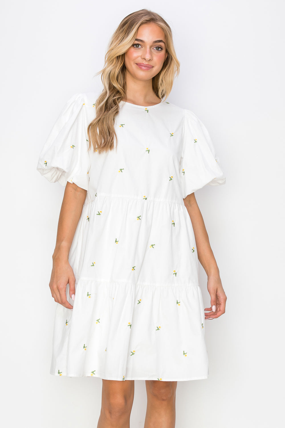 The Blakely Embroidered Cotton Poplin Dress