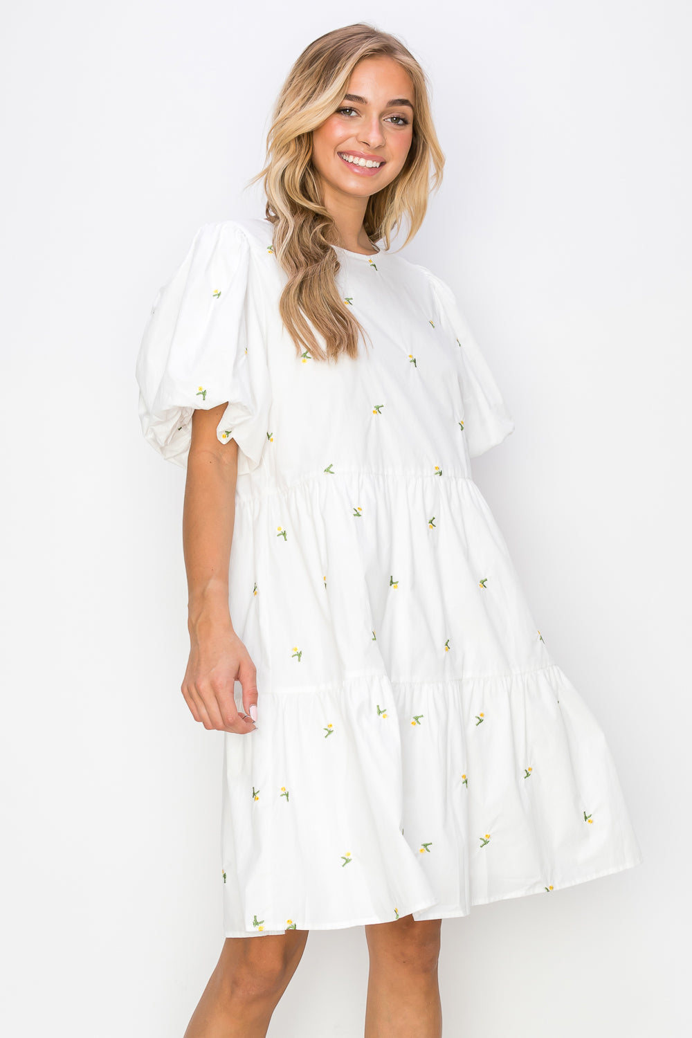 The Blakely Embroidered Cotton Poplin Dress