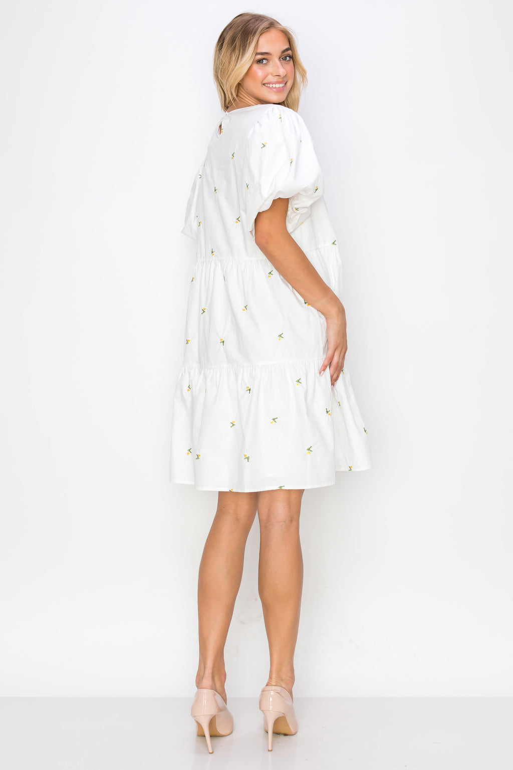 The Blakely Embroidered Cotton Poplin Dress