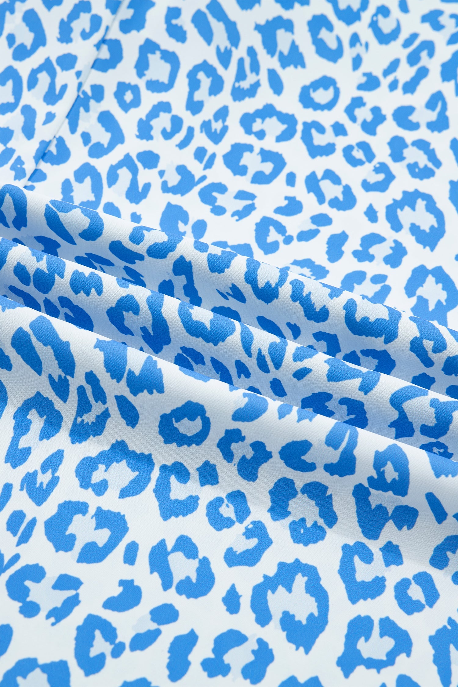 The Dakota Blue Leopard Top