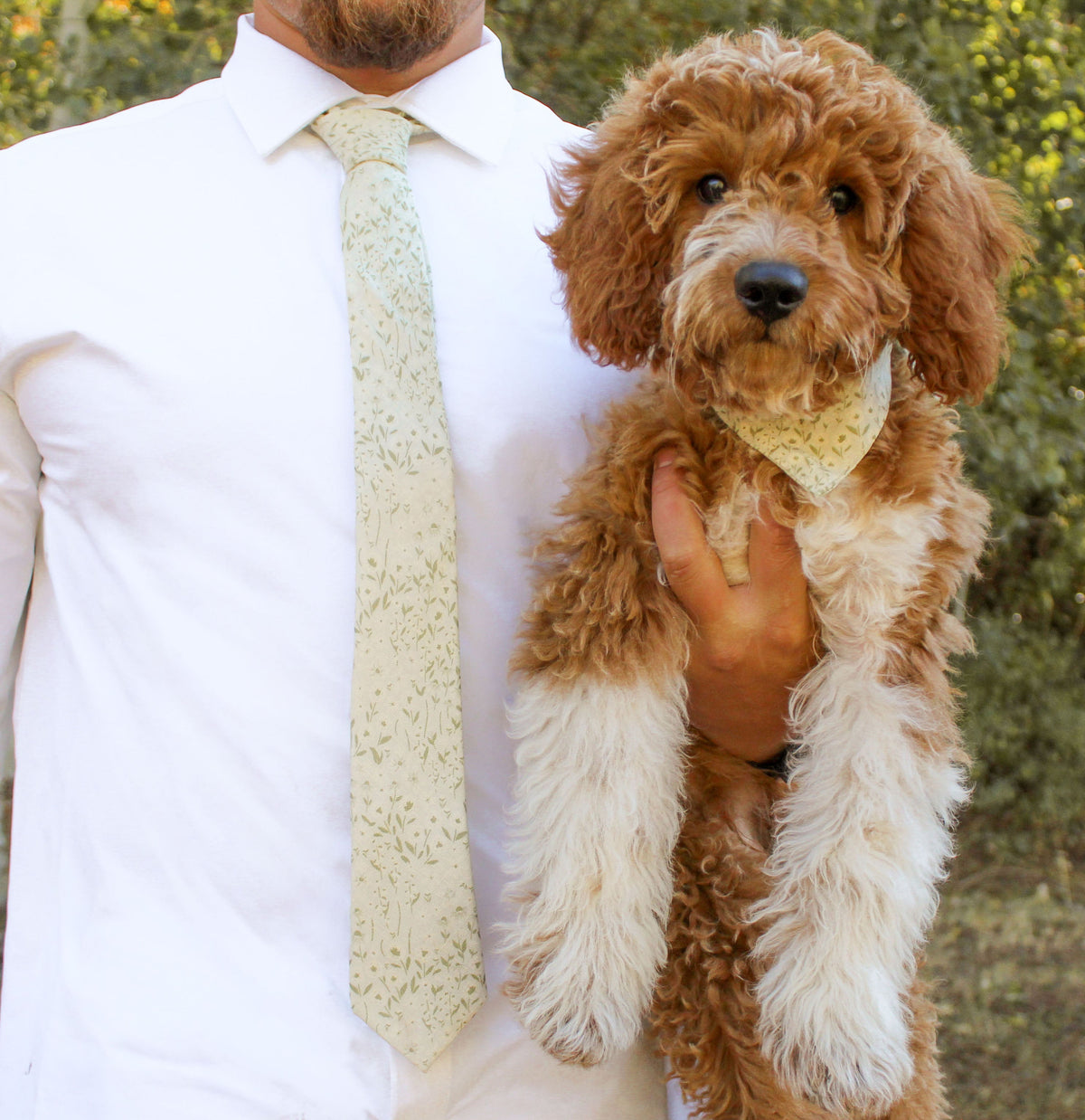 The Eden Men's Tie