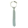 The Juniper Stripe Boys Tie